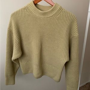 Everlane 100% organic cotton sweater